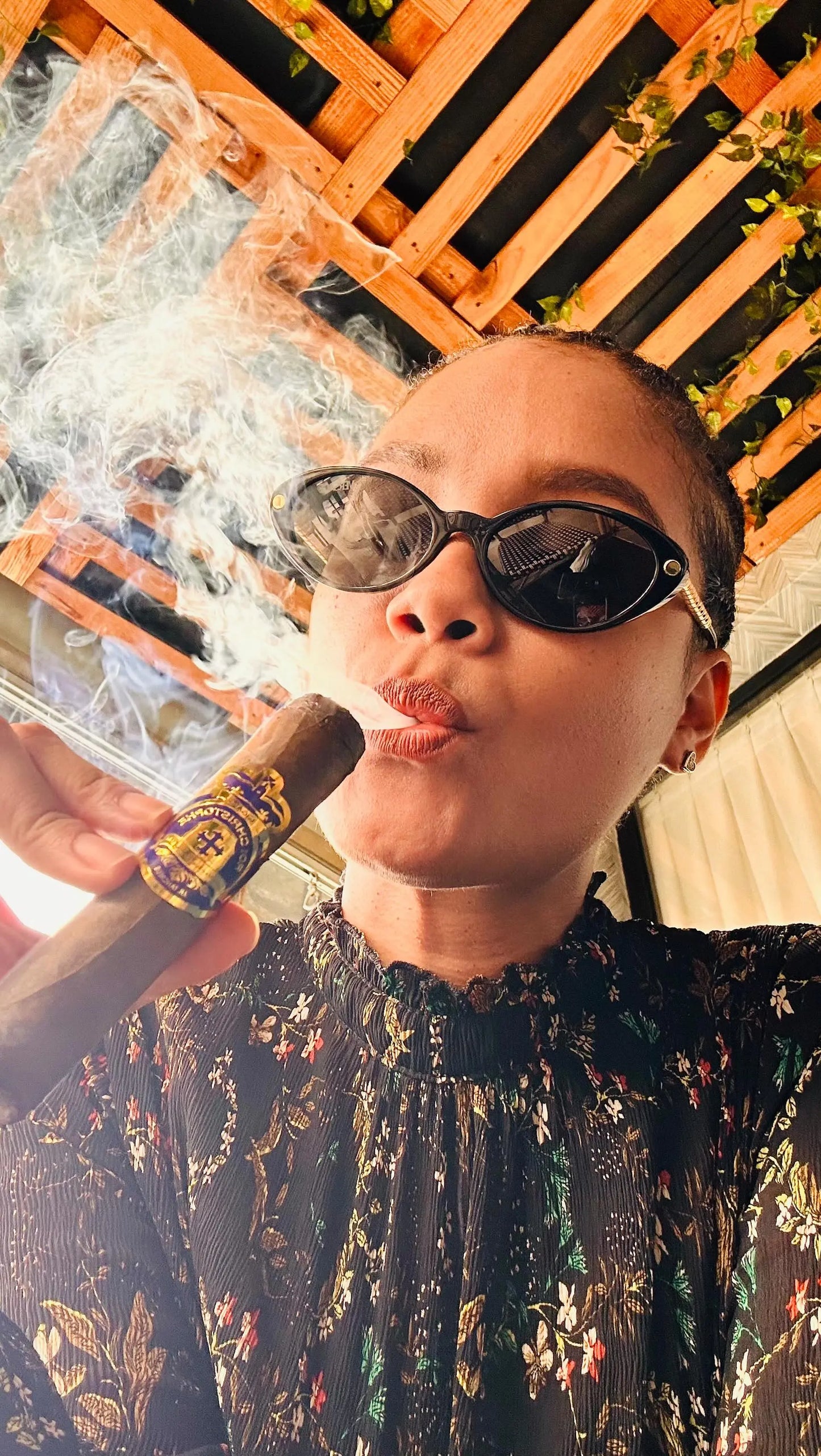 Roi Christophe Cigars - JR Tancrede Cigars Hispaniola Cigars Distributor JR Tancrede Cigars Hispaniola Cigars Distributor 
