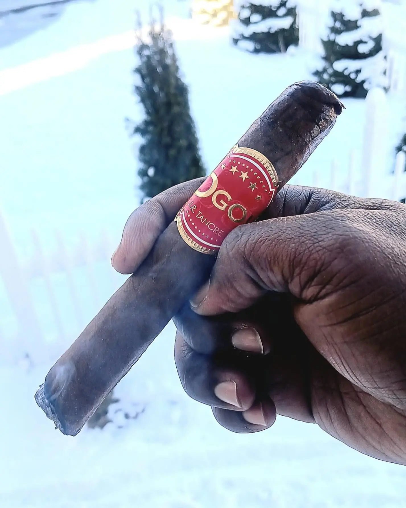 Ogou Cigars  JR Tancrede Hispaniola Cigars Distributor JR Tancrede Cigars Hispaniola Cigars Distributor 